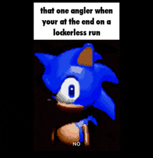 a pixelated image of sonic the hedgehog with the caption that one angler when your at the end on a lockerless run no