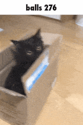 a black cat is in a cardboard box with the text balls 276 above it