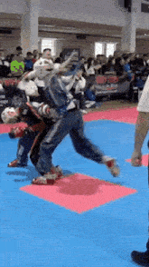 a group of people are playing martial arts on a mat