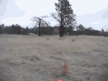 Nobody Cares About The Big Horn Sheep! GIF - Nobody Cares Orange Jacket GIFs