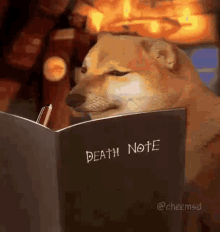 Doge Note GIF - Doge Note GIFs