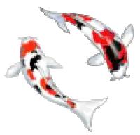 two red , white and black koi fish are swimming in a circle .