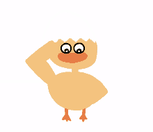 ducks