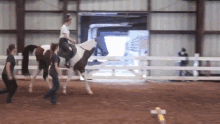 In A Hurry Keeping Up GIF - In A Hurry Keeping Up Horse Riding GIFs