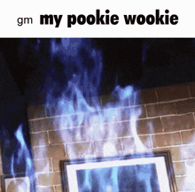 Gm My Pookie Wookie Good Morning My Pookie Wookie GIF