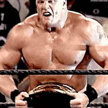 Brock Lesnar Wwechampion GIF - Brock Lesnar Wwechampion Summer Slam GIFs