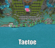 Taetoe Minecraft GIF - Taetoe Minecraft Libbytato GIFs