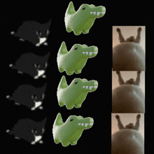 Croccy Cat GIF - Croccy Cat GIFs