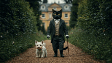 a black cat in a tuxedo walking a white dog on a leash