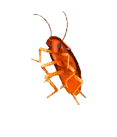 Cockroach Jumping Sticker - Cockroach Jumping Colorful Stickers