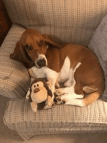 Do Not Touch My Toys GIF - Do Not Touch My Toys GIFs