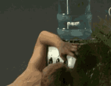 Thirsty Funny GIF