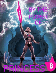 he man holding a pink sword in front of a castle with the words by the power of princess