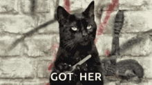 Salem Black Cat GIF - Salem Black Cat Filing GIFs