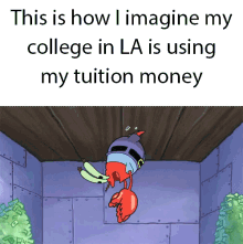 College Tutition Money GIF