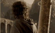 Frodo Lotr GIF - Frodo Lotr Lord GIFs
