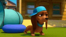 a cartoon dachshund wearing a blue hat is walking on the grass