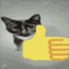 Cat Thumbs Up Middle Finger GIF - Cat Thumbs Up Middle Finger Cat Middle Finger GIFs