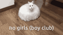 No Girls Boys GIF - No Girls Boys GIFs