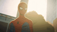 a cartoon drawing of a spider-man standing in front of a building