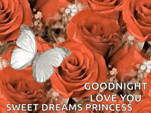 Good Night Love You Butterfly GIF