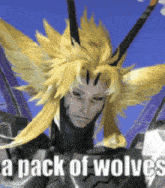a video game character has a pack of wolves on his head