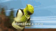Run Shrek GIF - Run Shrek When I See A Wasp GIFs