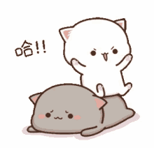 cat bully