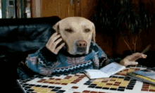 Dog Working GIF - Dog Working Phone GIFs