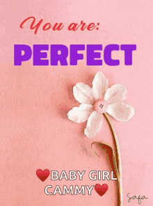 You Are GIF - You Are Perfect GIFs