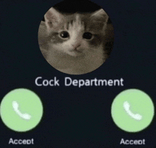 Cock Phone Call GIF - Cock Phone Call GIFs