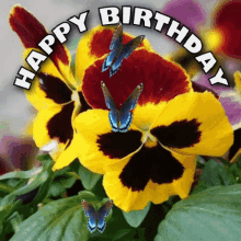 Happy Birthday Happy Birthday Flowers GIF - Happy Birthday Happy Birthday Flowers Happy Birthday Pansy GIFs