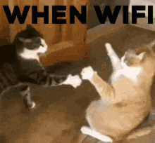 When Wifi Cat GIF - When Wifi Cat Bannedhours GIFs