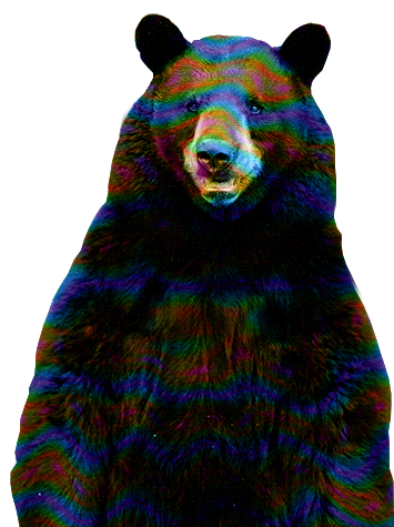 Ayı Medved Sticker - Ayı Medved Bear Stickers