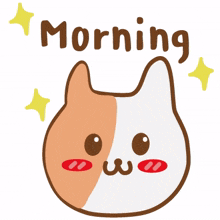 animal kitty cat cute good morning