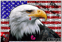 Trump American Flag GIF - Trump American Flag Eagle GIFs