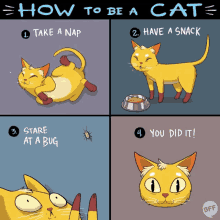 cat catlife