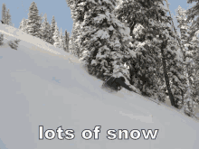 Lots Of Snow GIF