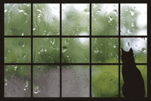 Rainy Day Raining GIF - Rainy Day Raining Looking Out The Window GIFs