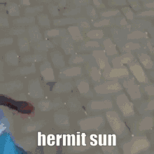 pjj projectjojo hermit purple the sun hermit sun