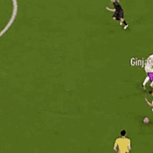 the goon ginji fifa tackle foul or fanny