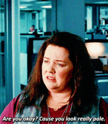 Melissa Mccarthy Are You Ok GIF - Melissa Mccarthy Are You Ok You Look Really Pale GIFs