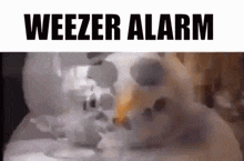 a weezer alarm with a skeleton in the background
