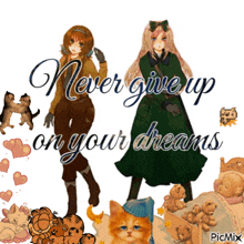 a picture of two anime girls with the words never give up on your dreams on the bottom