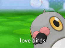 Love Bird Love Birds GIF - Love Bird Love Birds Lovebird GIFs