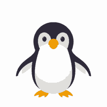 penguin playful