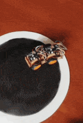 a white plate with a black circle in the middle