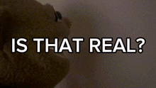 a close up of a dog 's face with the words " is that real " below it