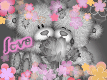 Tatty Teddy Love GIF - Tatty Teddy Love Flower GIFs
