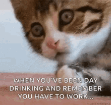 When Youve Been Day Drinking And Remember You Have To Work Kitty GIF - When Youve Been Day Drinking And Remember You Have To Work Kitty Kitten GIFs